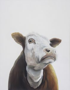 Kráva Adam Jilek olej na platne obraz realismus realisticka malba realistic painting hypperrealismus zdenek beran absolvent avu